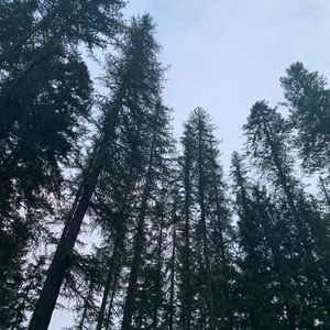 Meet your Posher, Collin